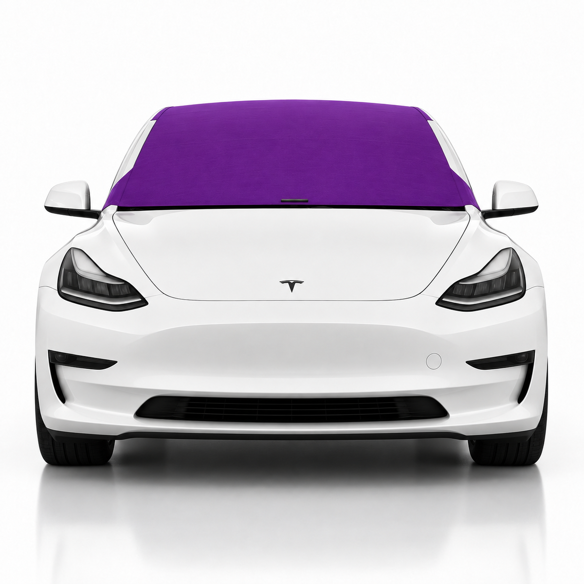 Model-3-Purple