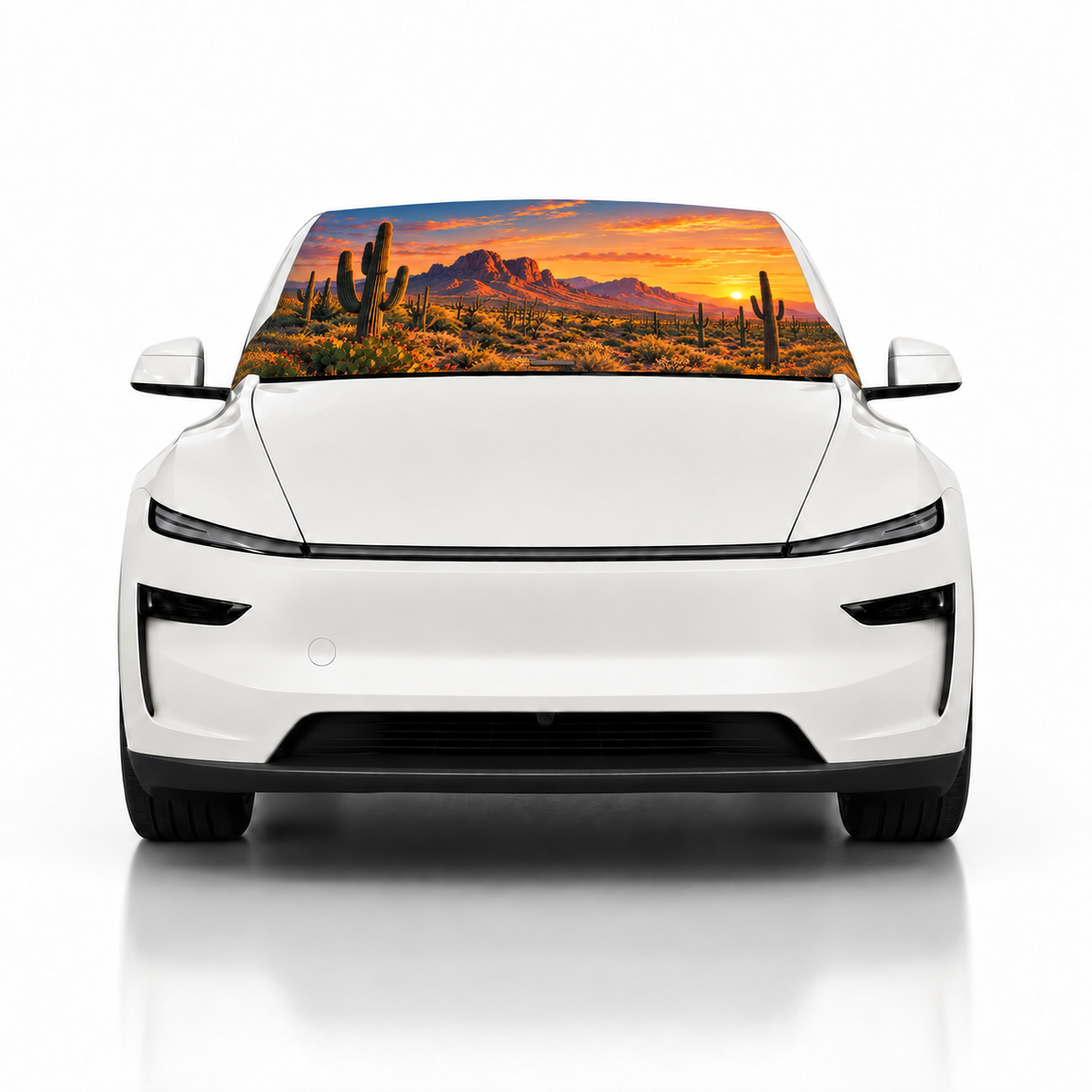 Model-Y-Desert-Glow