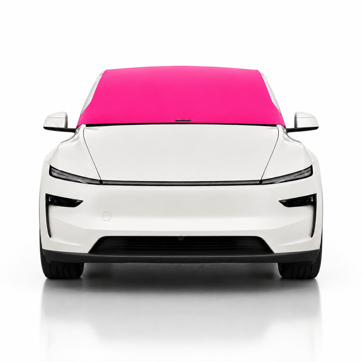 Model-Y-Pink