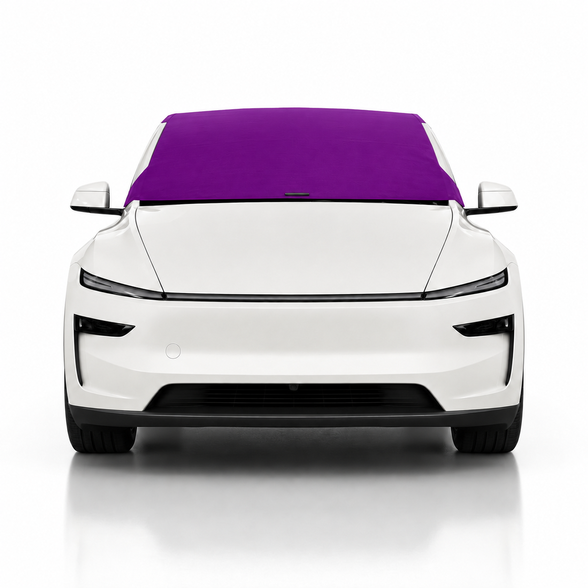 Model-Y-Purple