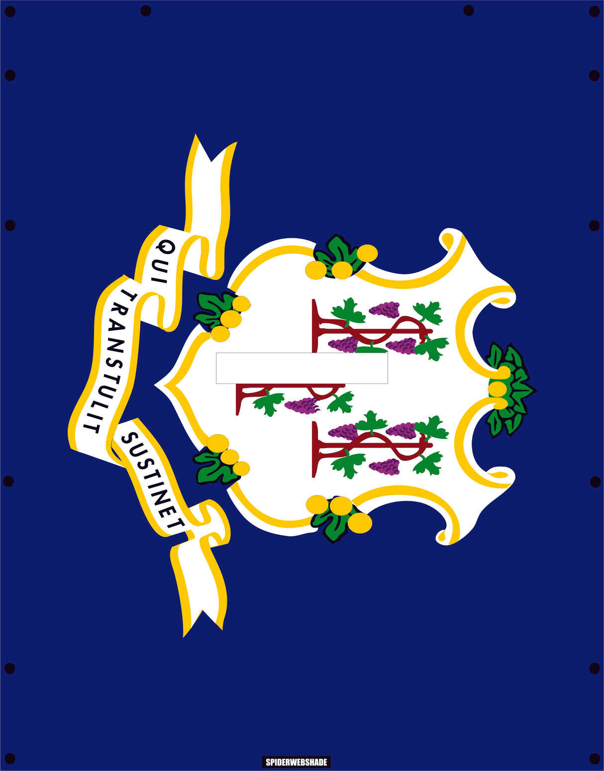 GLADIATOR JT4D Printed Connecticut flag shadetop design