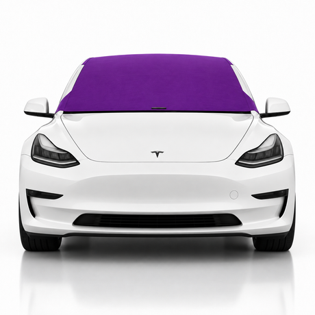 Model-3-Purple