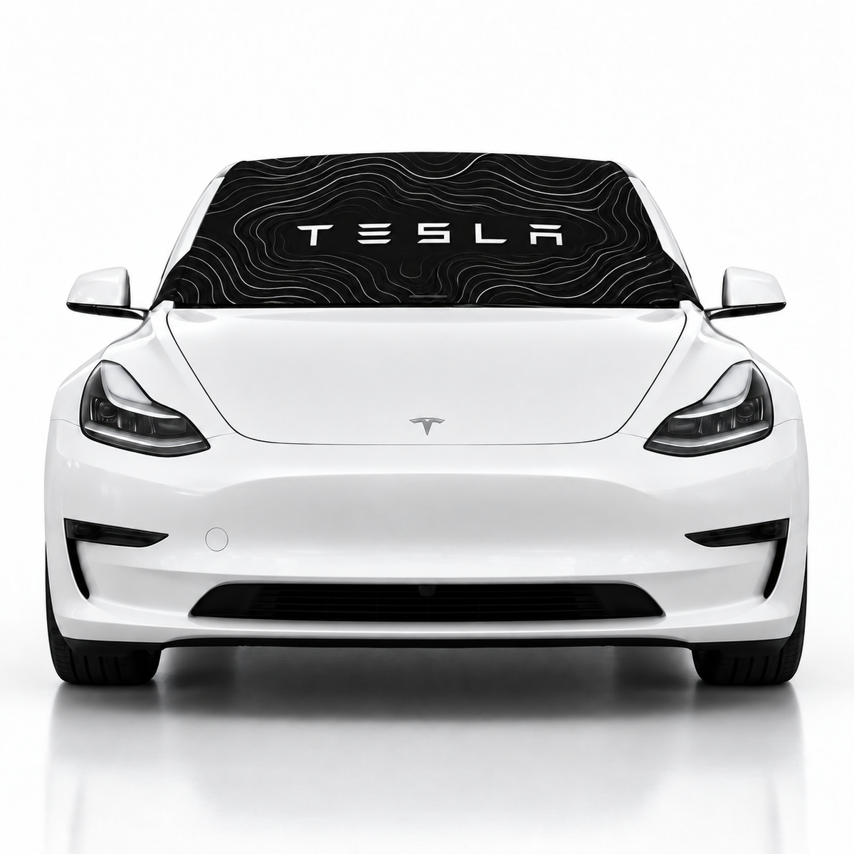 Model-3-Tesla-Topo-Edition