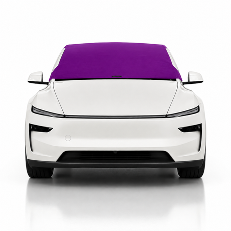 Model-Y-Purple