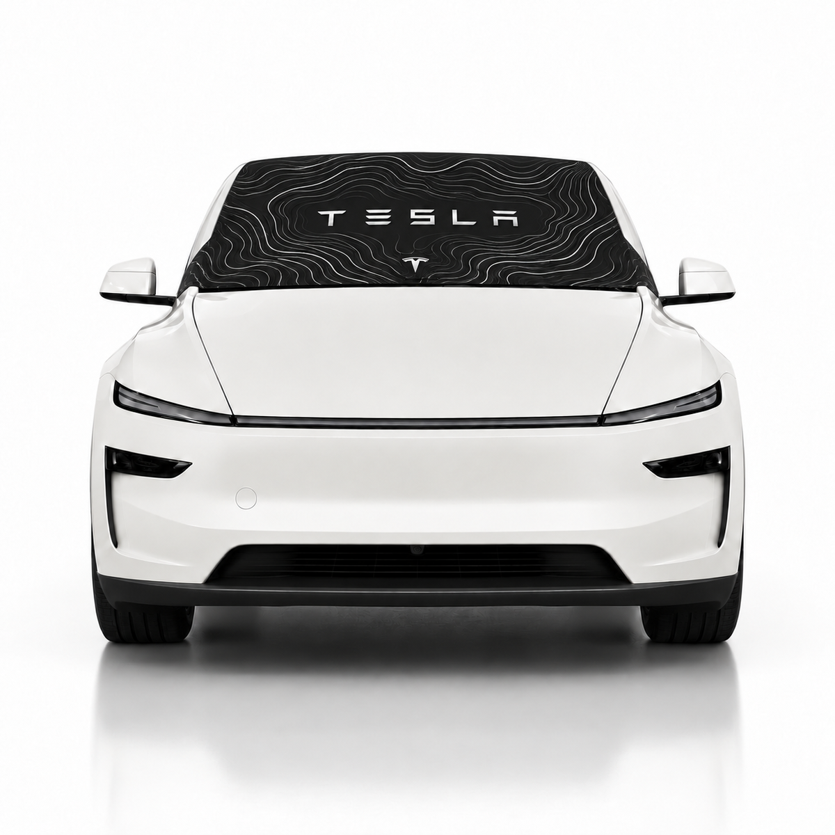 Model-Y-Tesla-Topo-Edition