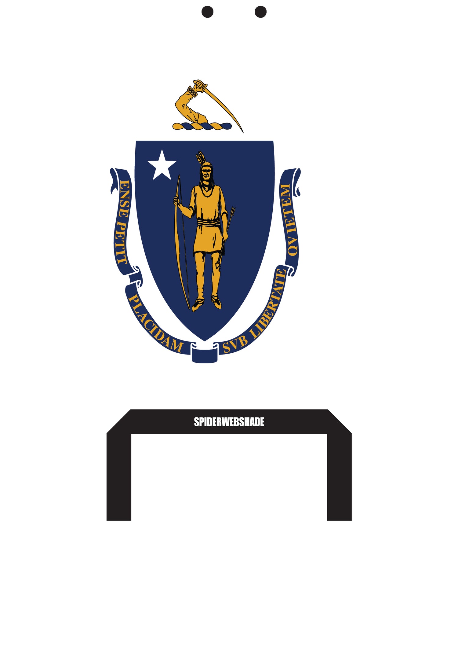 JKINI 2D/4D PRINTED STATE FLAGS