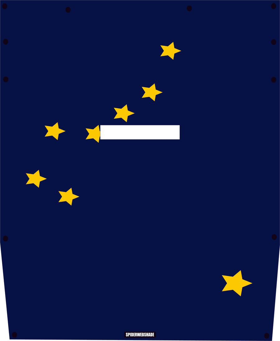JL2D PRINTED STATE FLAGS