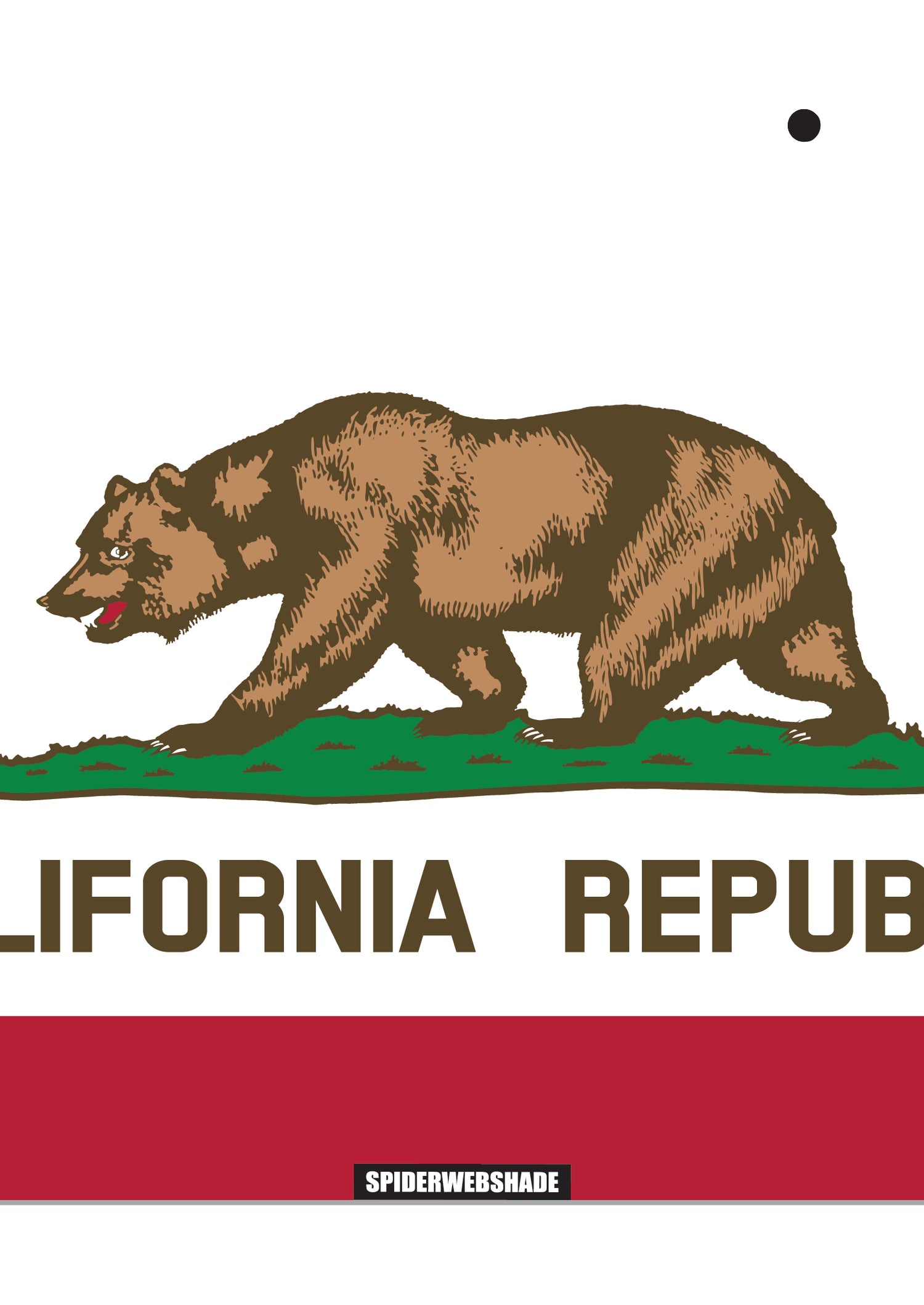 JLKINI 2D/4D PRINTED STATE FLAGS