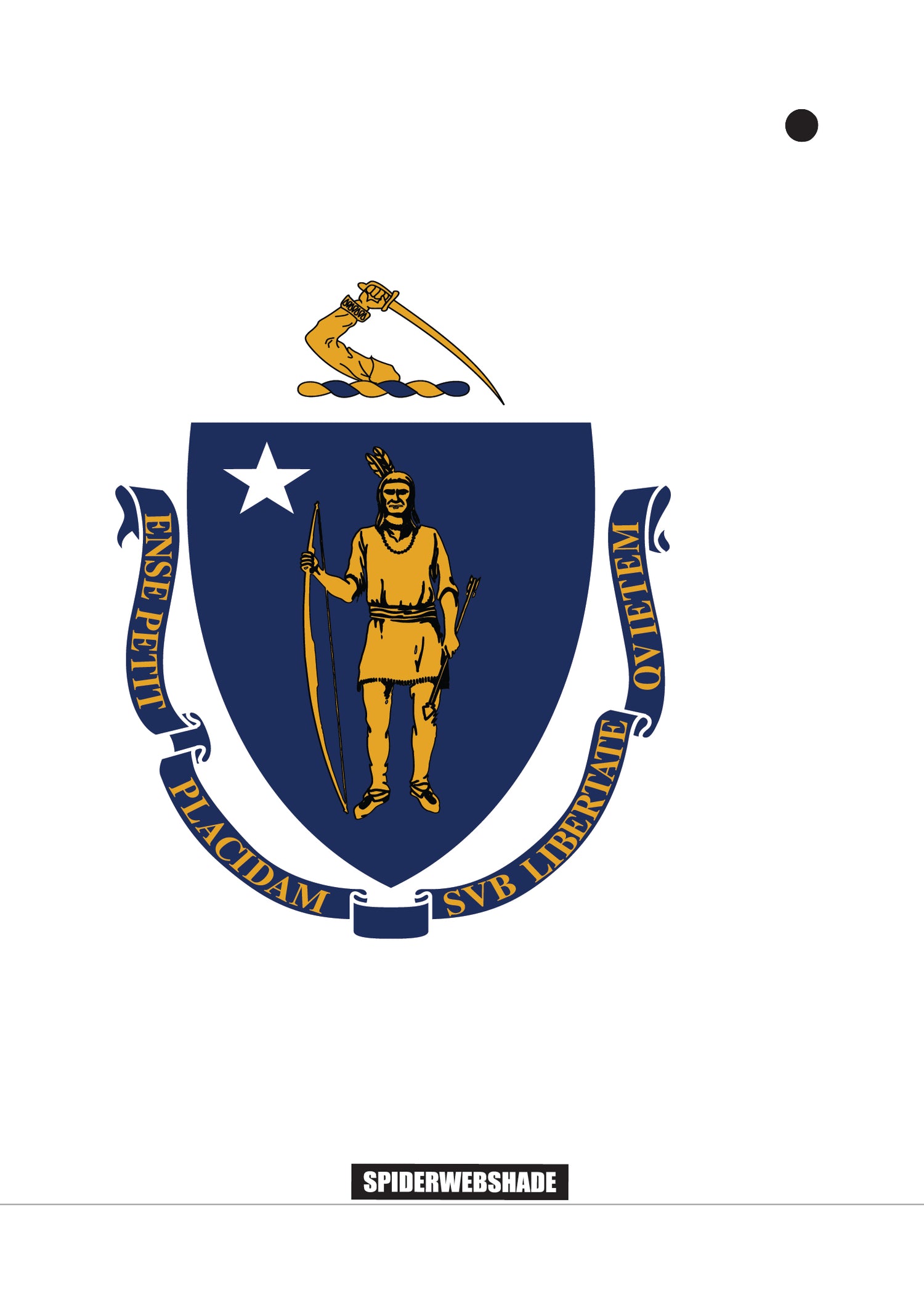 JLKINI 2D/4D PRINTED STATE FLAGS