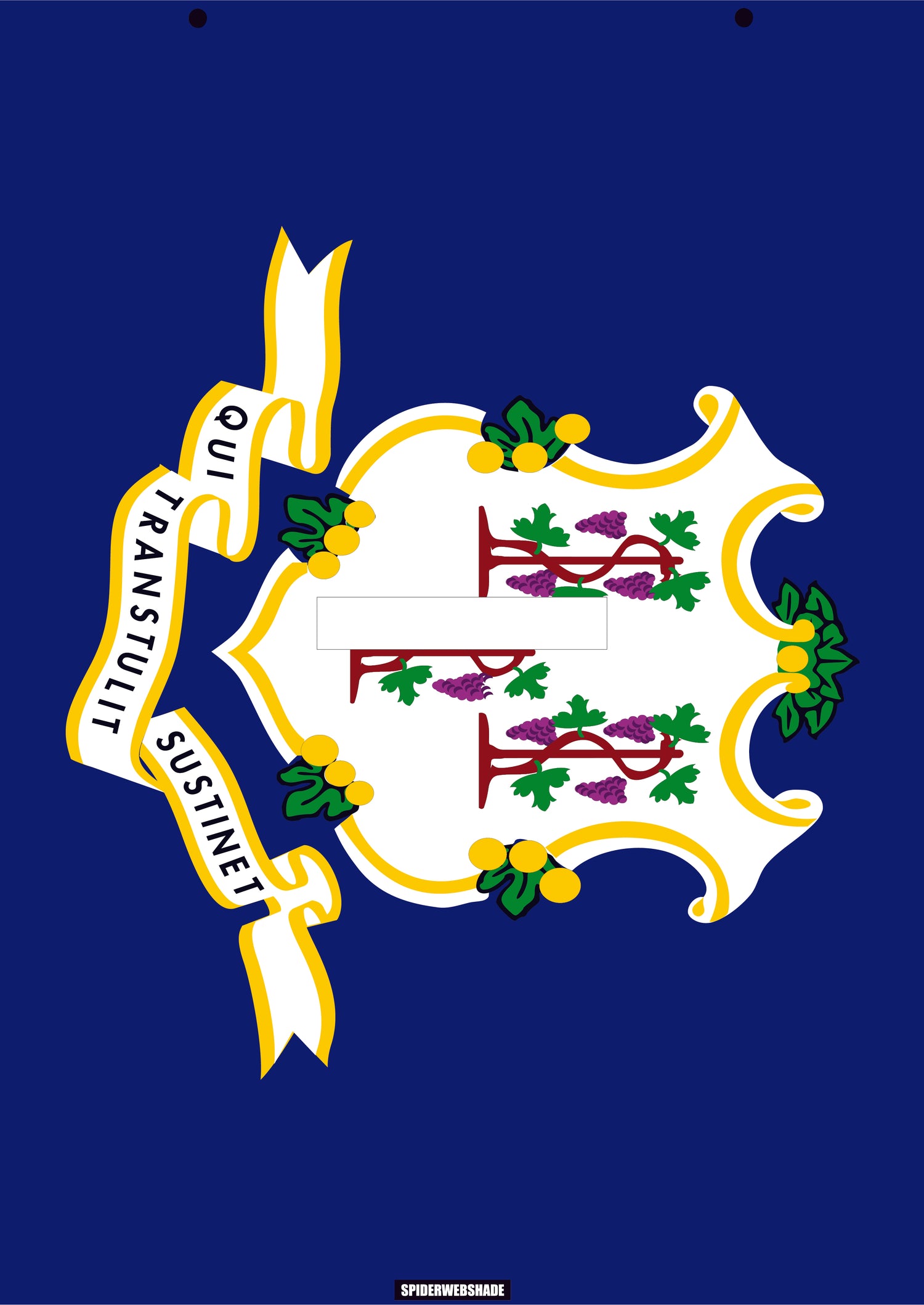 GLADIATOR JT4D Printed Connecticut flag shadetop design