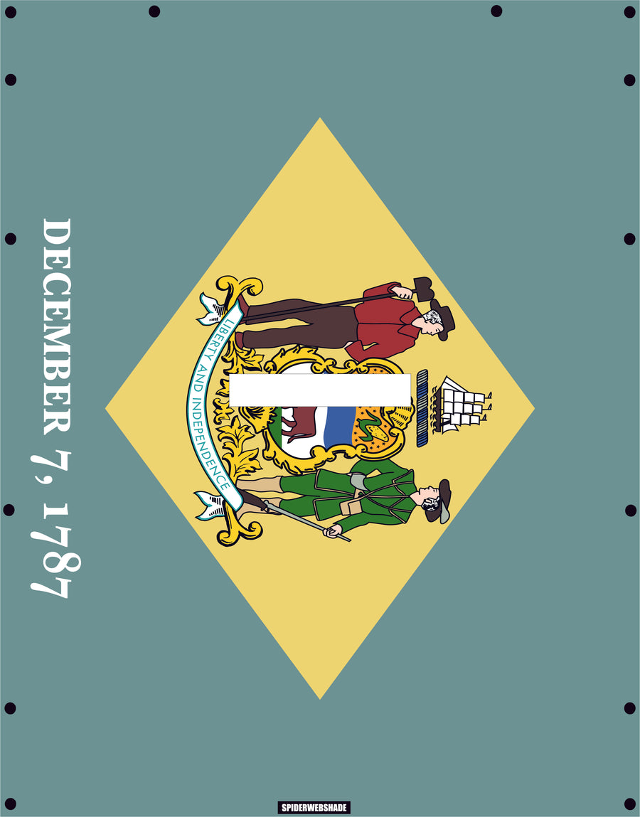 GLADIATOR JT4D Printed Delaware flag shadetop design