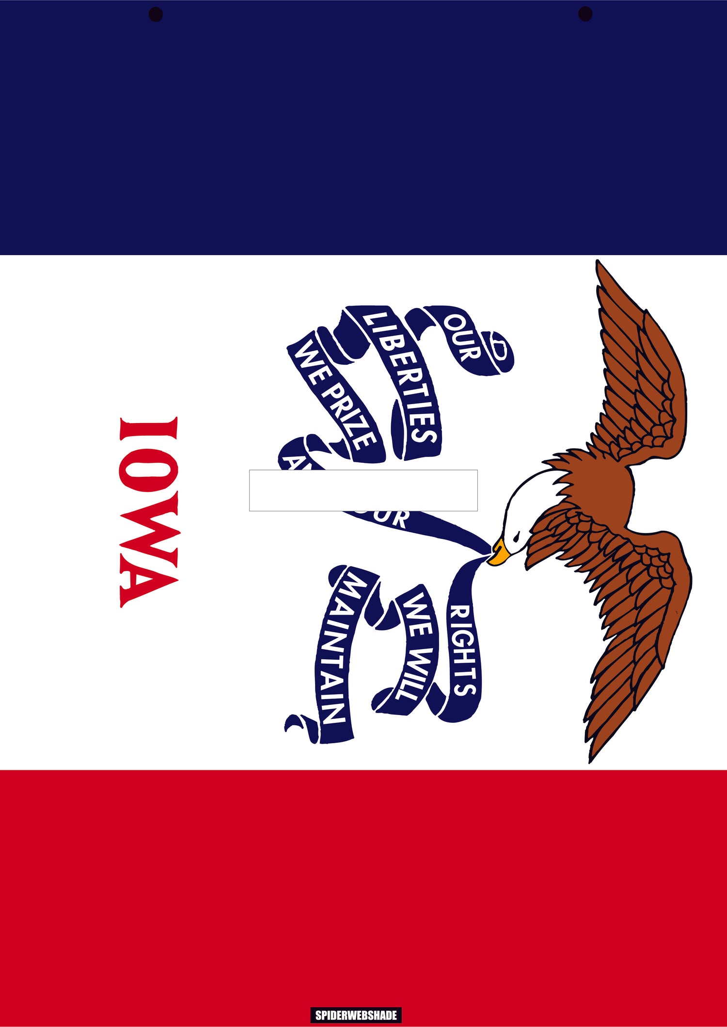 GLADIATOR JT4D Printed Iowa flag shadetop design