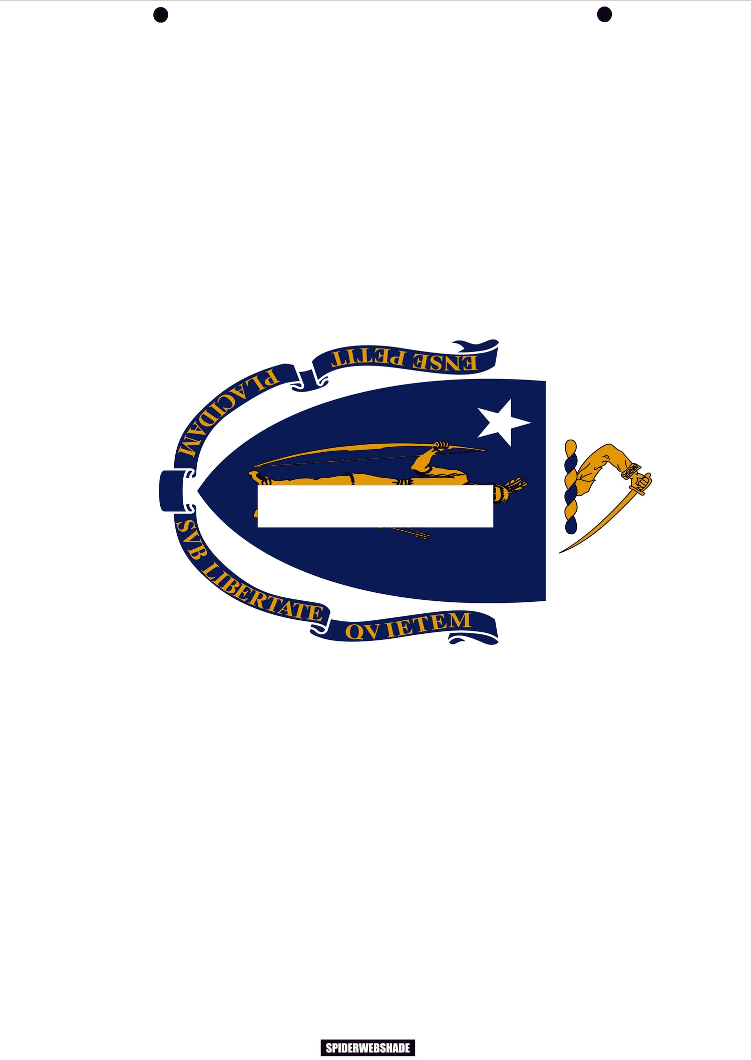 GLADIATOR JT4D Printed Massachusettes flag shadetop design