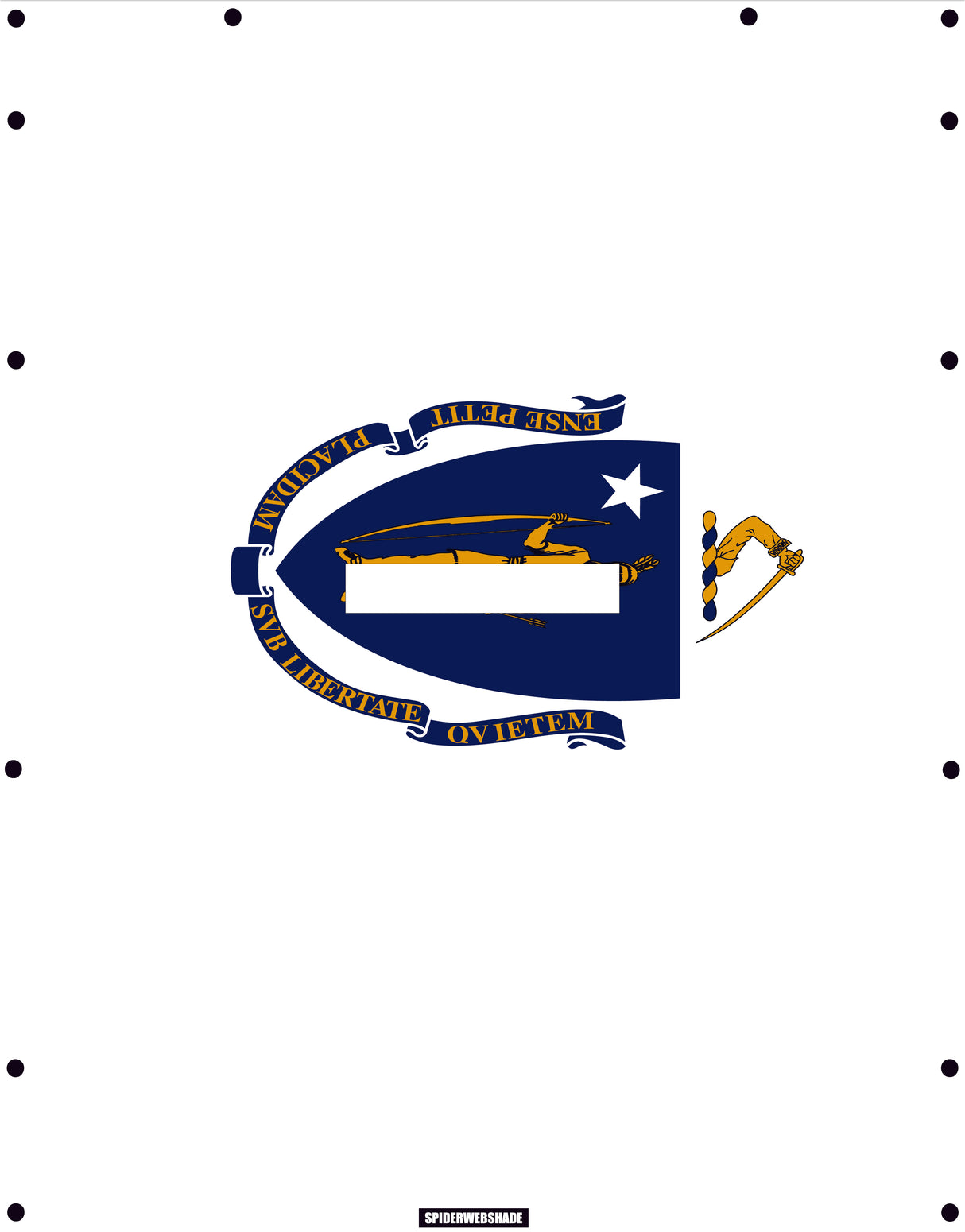 GLADIATOR JT4D Printed Massachusettes flag shadetop design