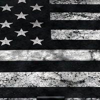 USA Distressed design swatch